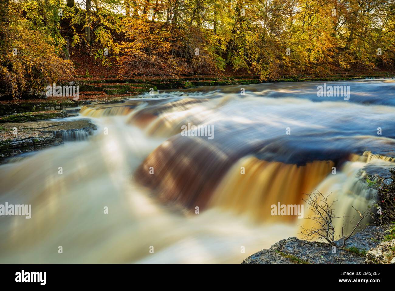 Aysgarth falls Lower Aysgarth falls River Ure with autumn colours Wensleydale Yorkshire Dales national park North Yorkshire England UK GB Europe Stock Photo