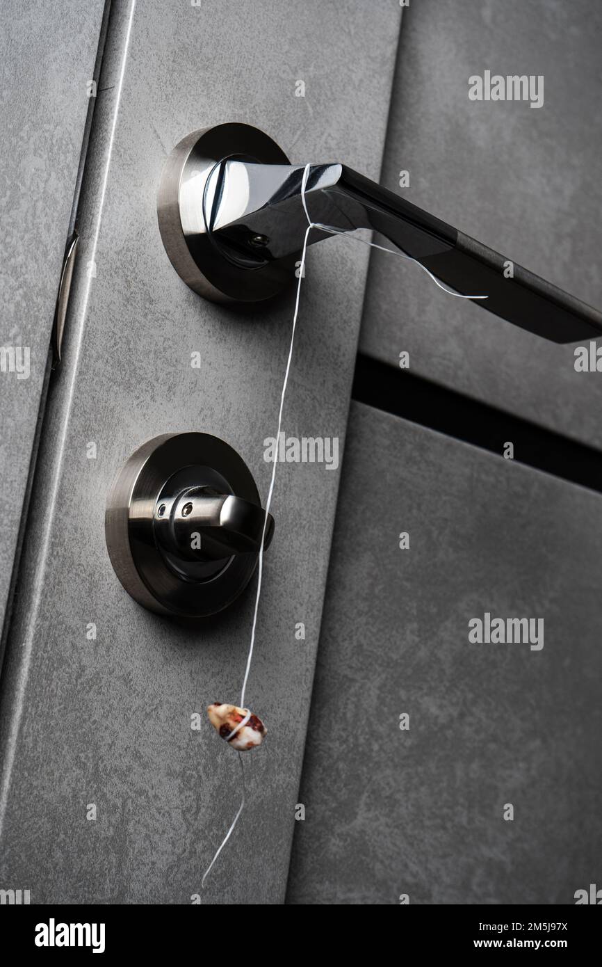 Real human teeth hanging on the door handle. Pulled out tooth