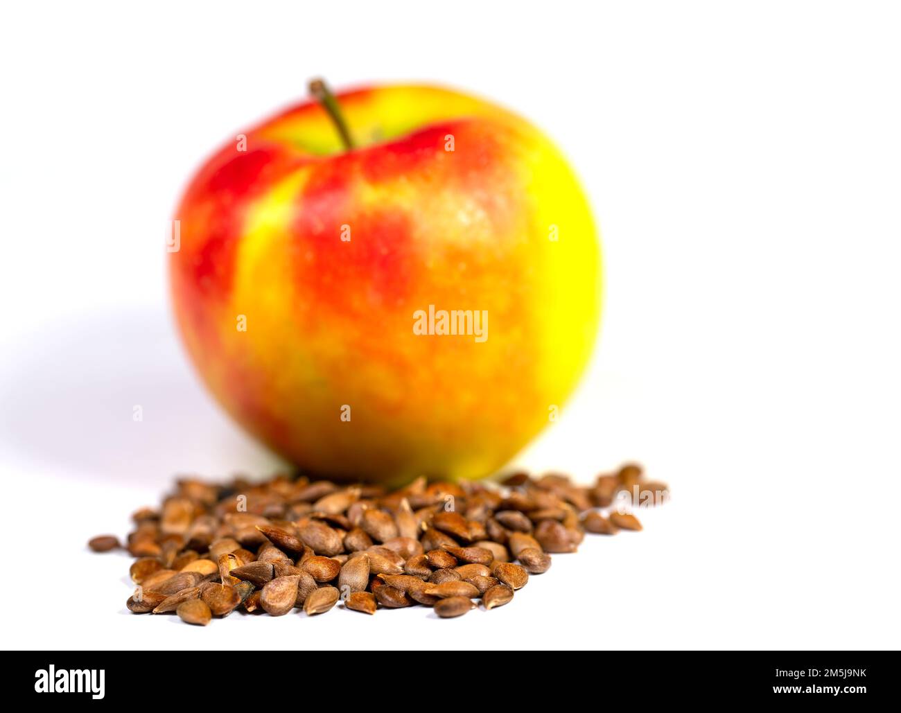 Apple cores and apple against white background Stock Photo