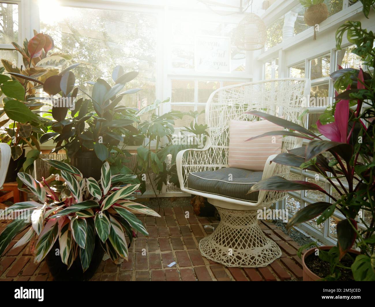 Greenhouse interior Stock Photo