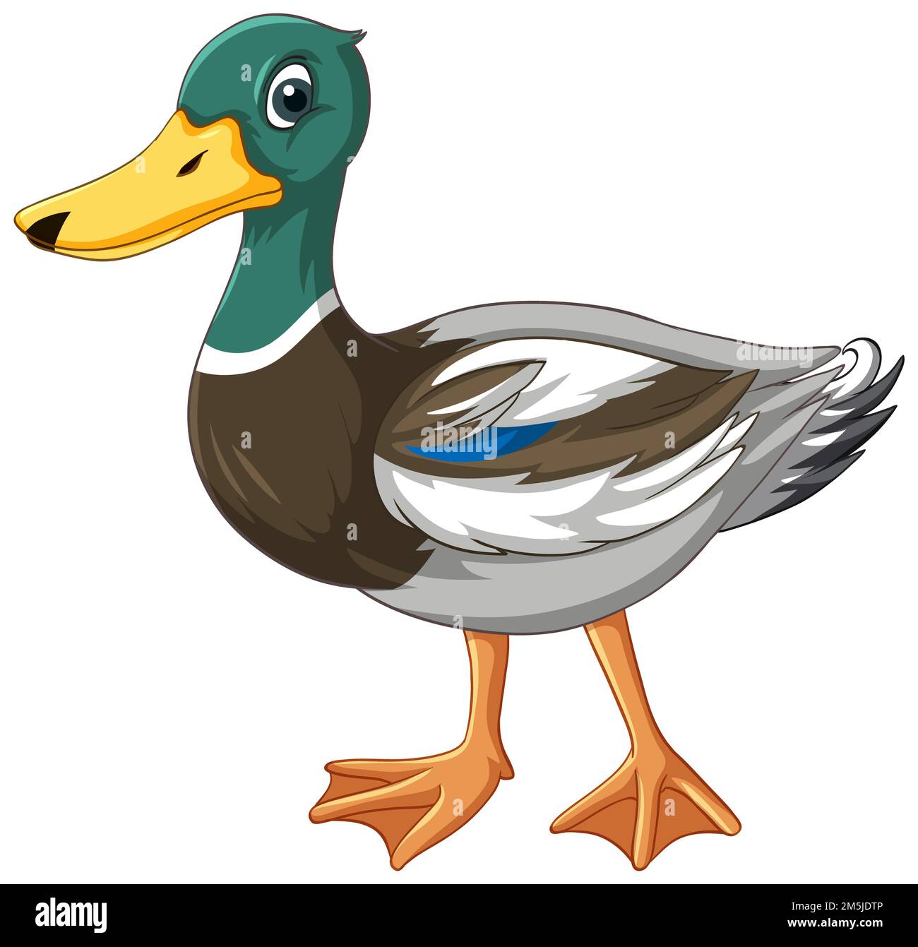 Duck with green head cartoon character illustration Stock Photo