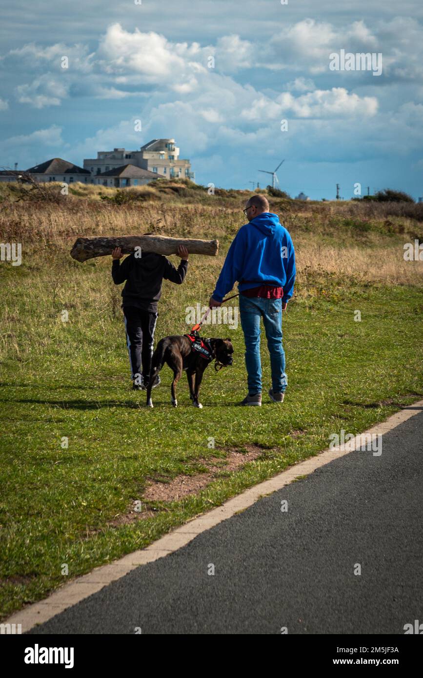 Walking man carrying wood hi-res stock photography and images - Alamy