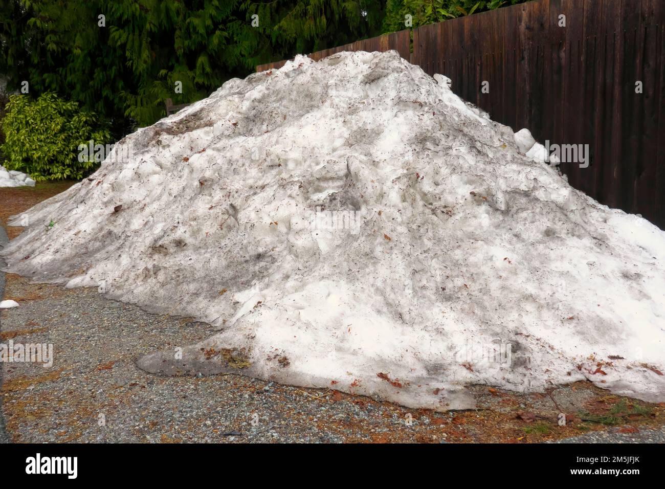Dirty snow piled up against a fence. Stock Photo