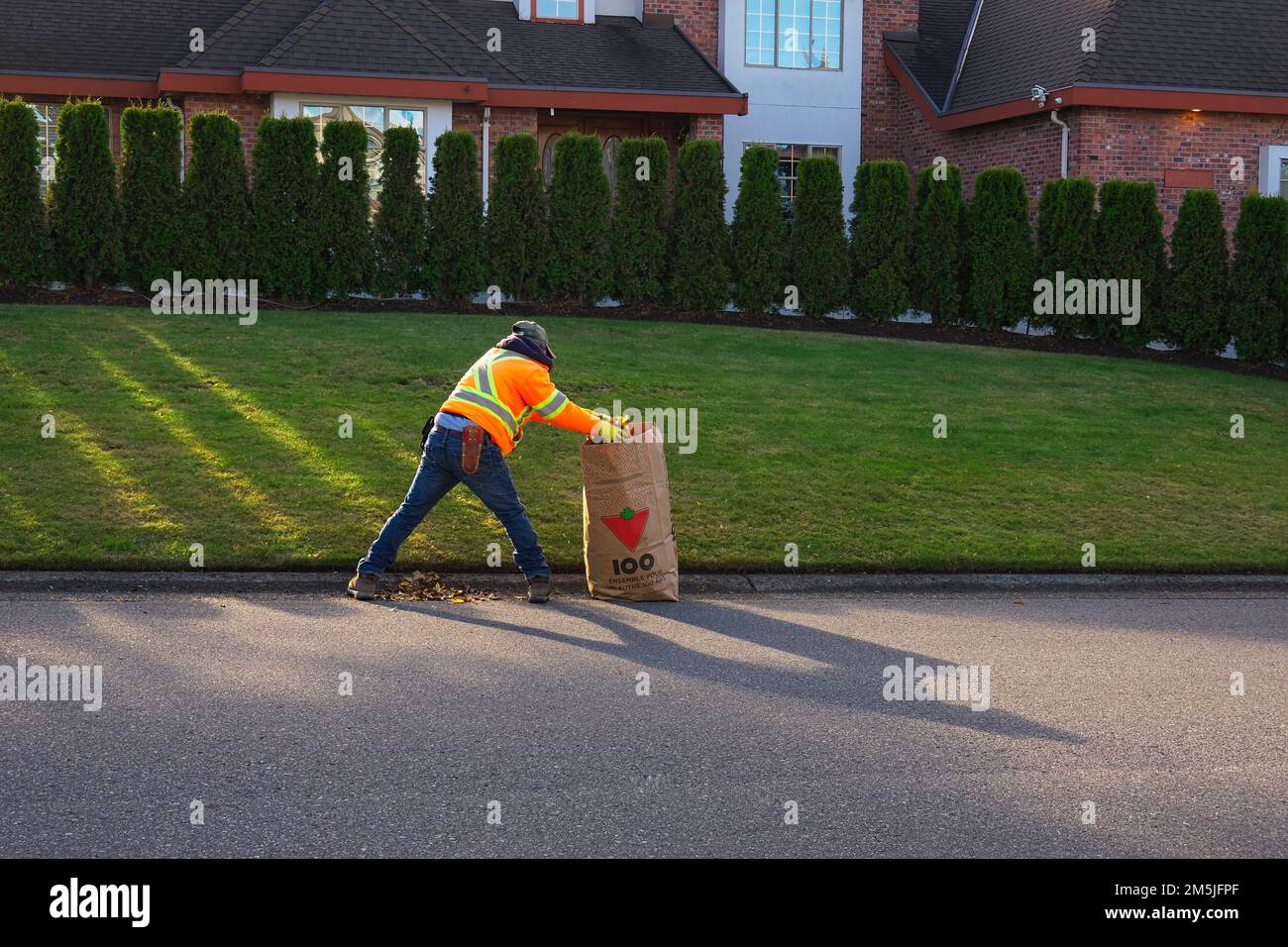 Worker wearing high visibility jacket cleaning up leaf litter on roadway. - facing away. Lower Mainland, British Columbia, Canada. Stock Photo