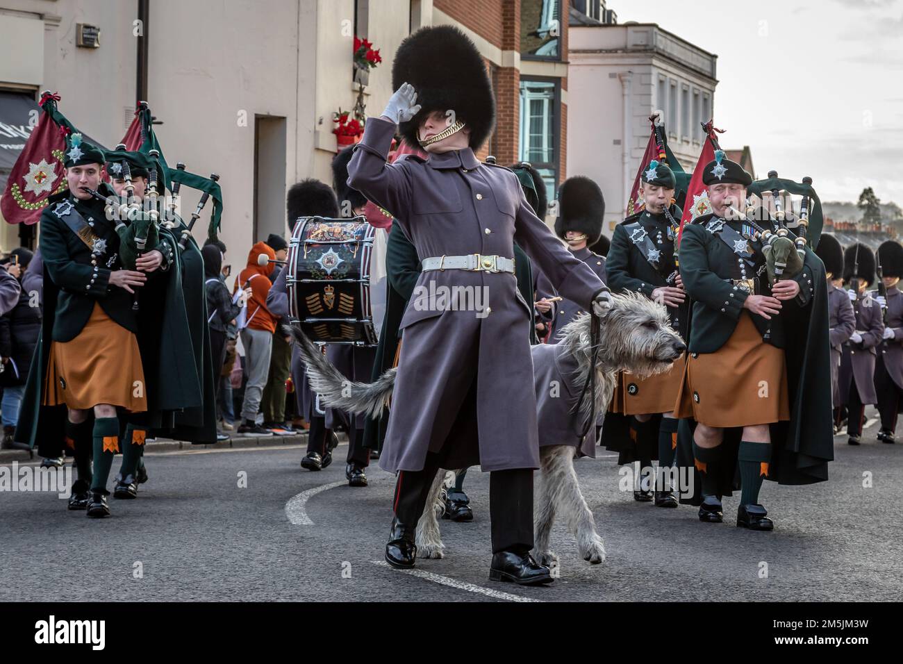 Irish Guards mascot 'Seamus', Windsor, Berkshire, UK Stock Photo