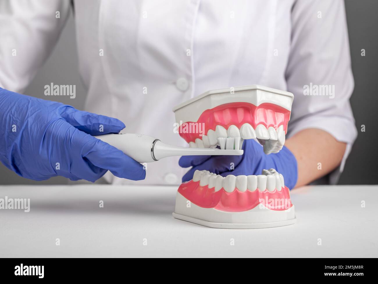 Dentist brushing whitening teeth jaw model with electric toothbrush