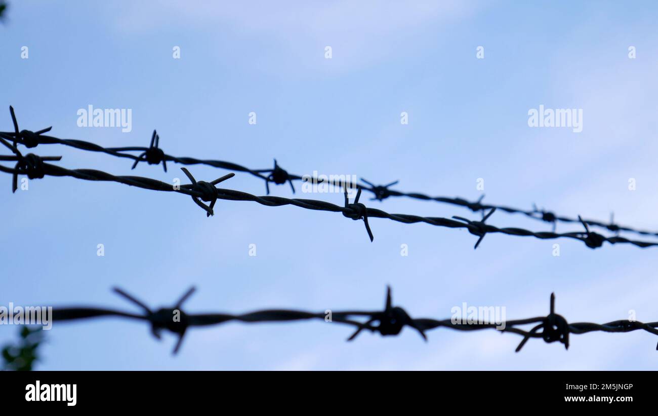 Barbed wire Stock Photo