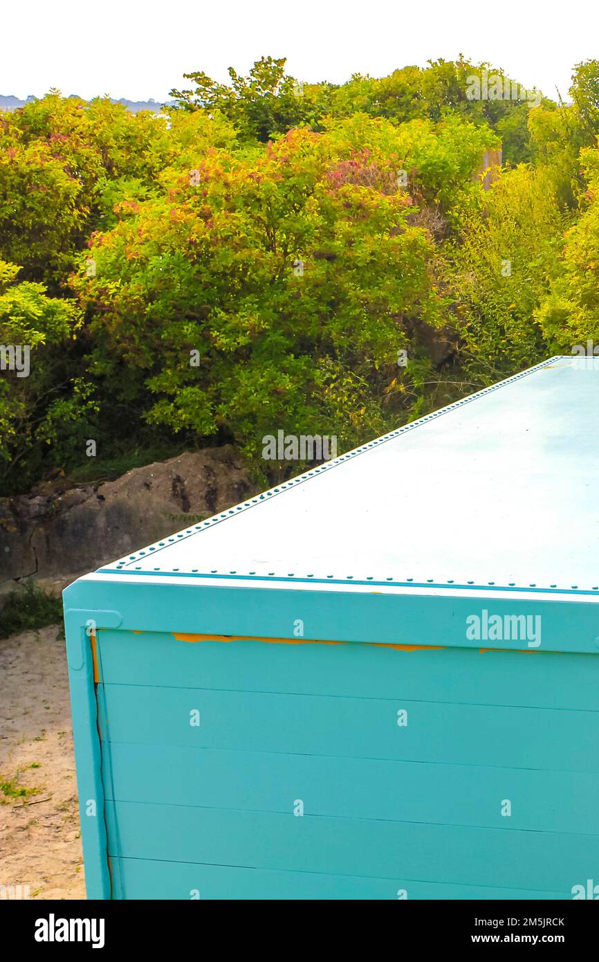 Turquoise shipping container parked in the forest on Langlütjen island in Nordenham Osterholz Germany. Stock Photo