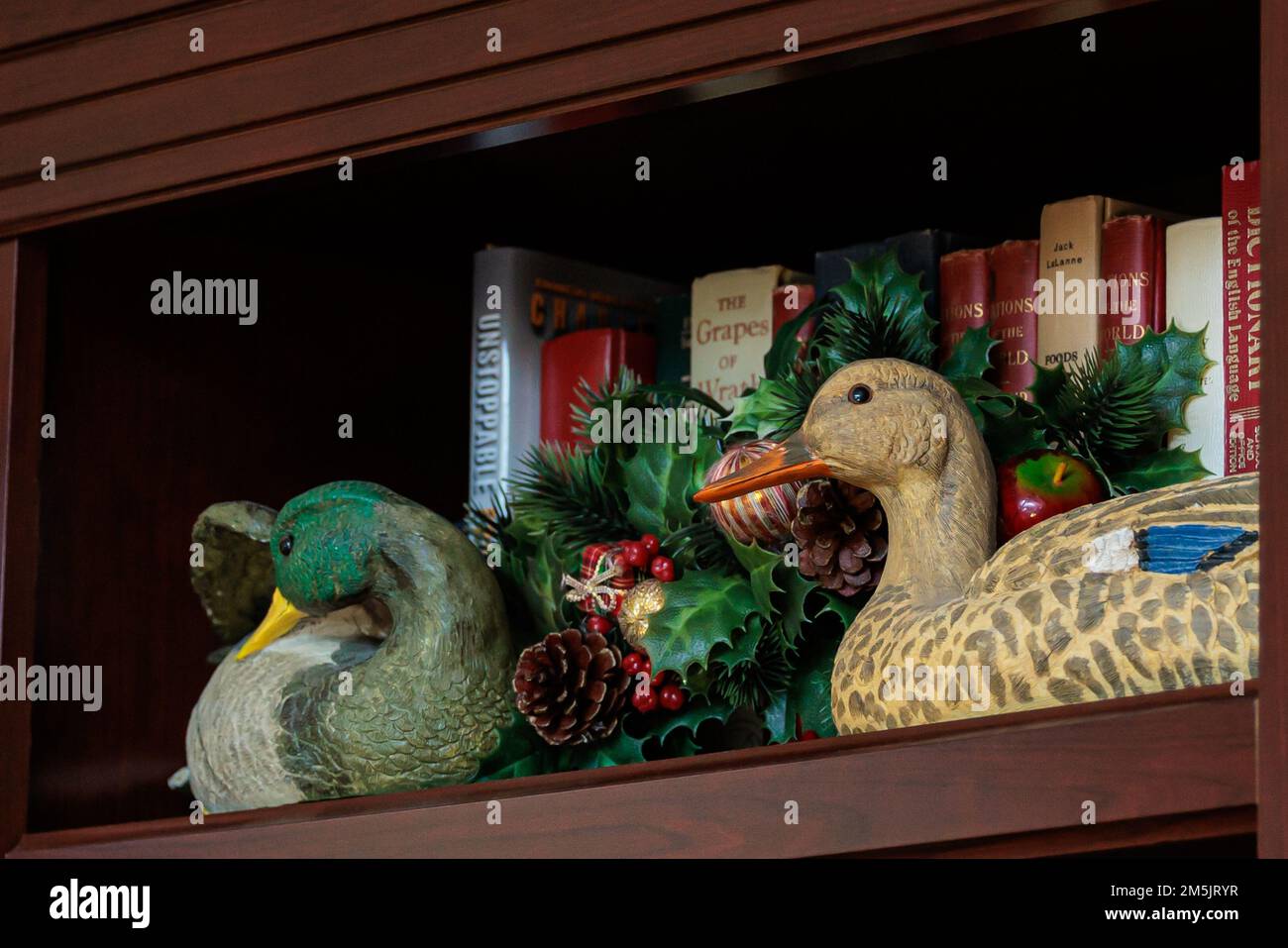 The Handpainted duck decoys with Christmas accessories on a bookshelf