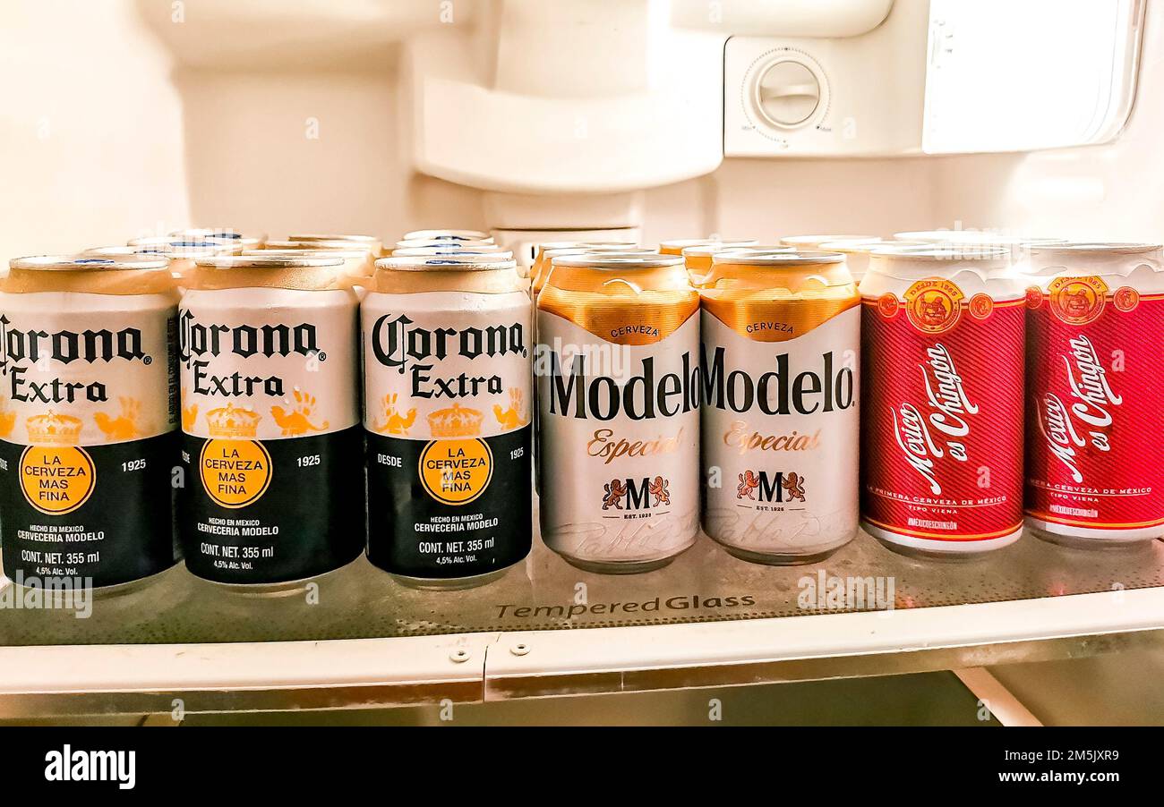 Beer cans in the refrigerator in Zicatela Puerto Escondido Oaxaca Mexico  Stock Photo - Alamy