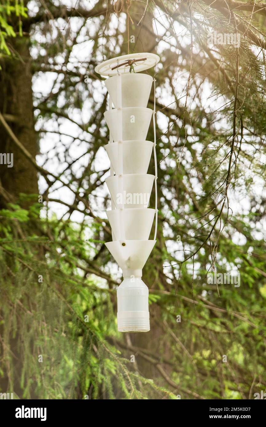trap for insects and beetles. A trap for pests and insects hangs on a