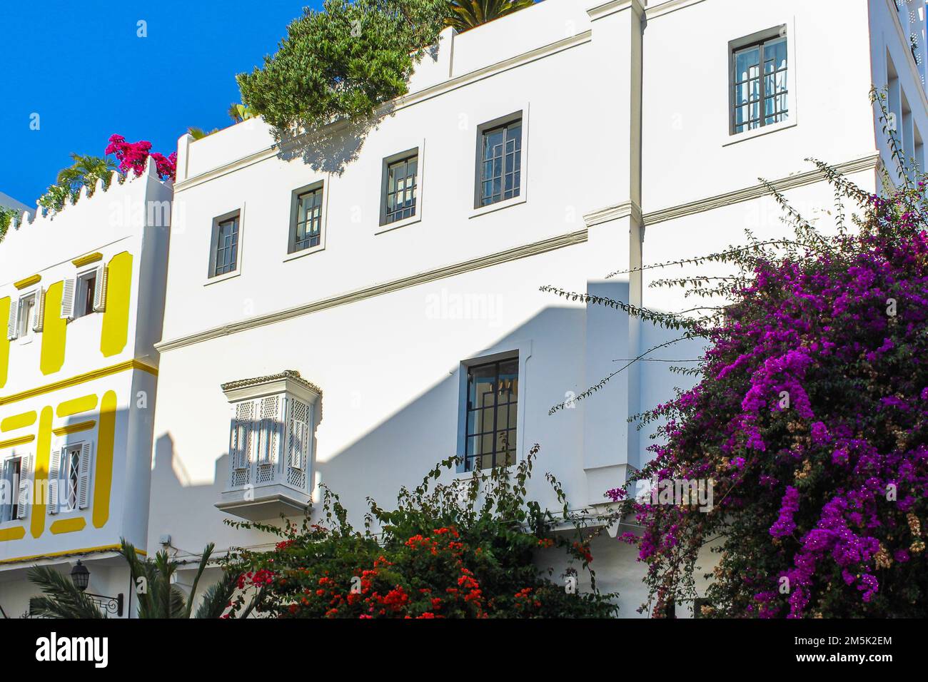 The white buildings, traditional houses of Tangier, Morocco surrounded by beautiful flowering