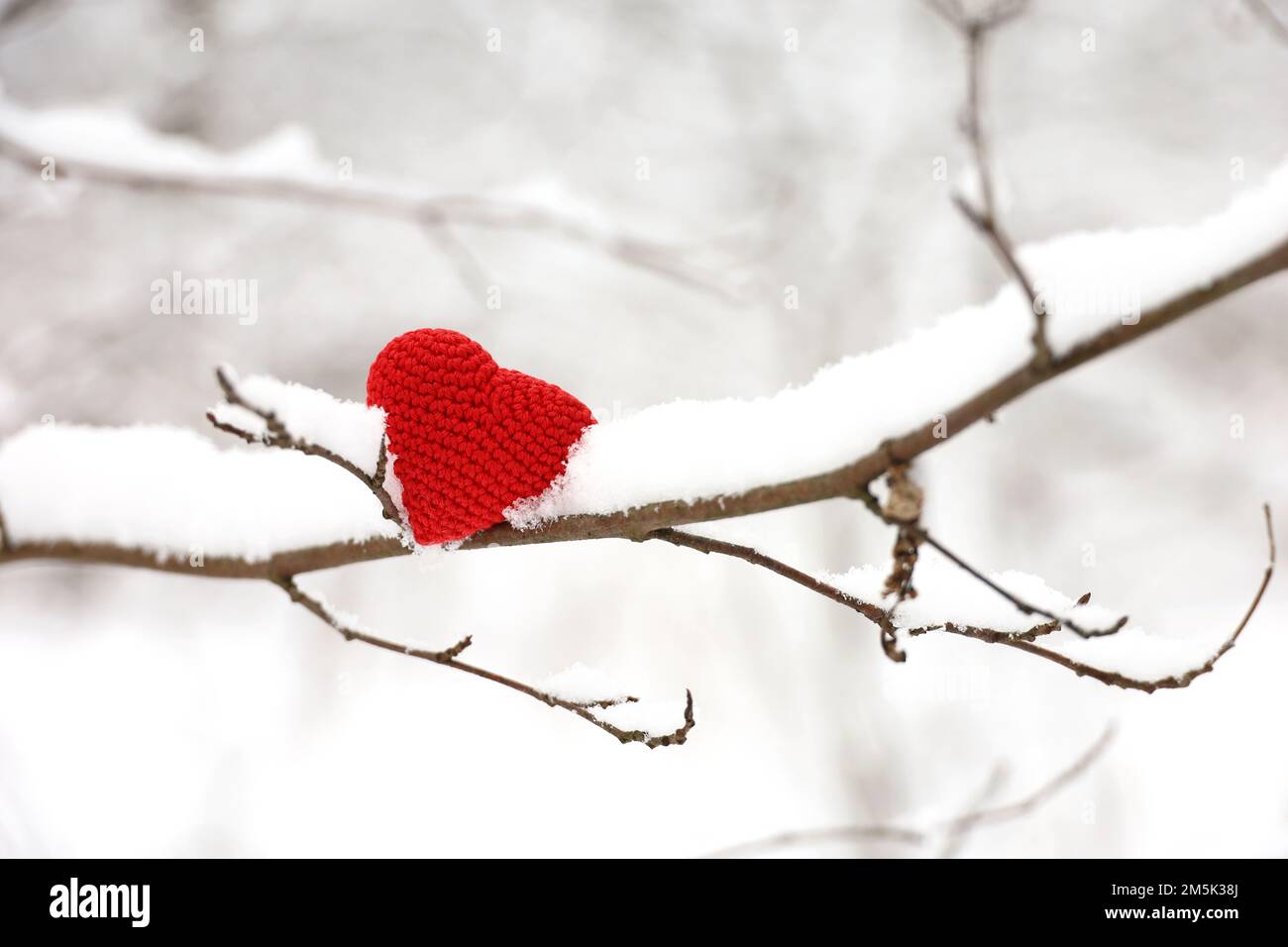 Valentines heart on tree branch covered with snow in winter forest. Red knitted symbol of love, concept of New Year celebration or Valentines day Stock Photo