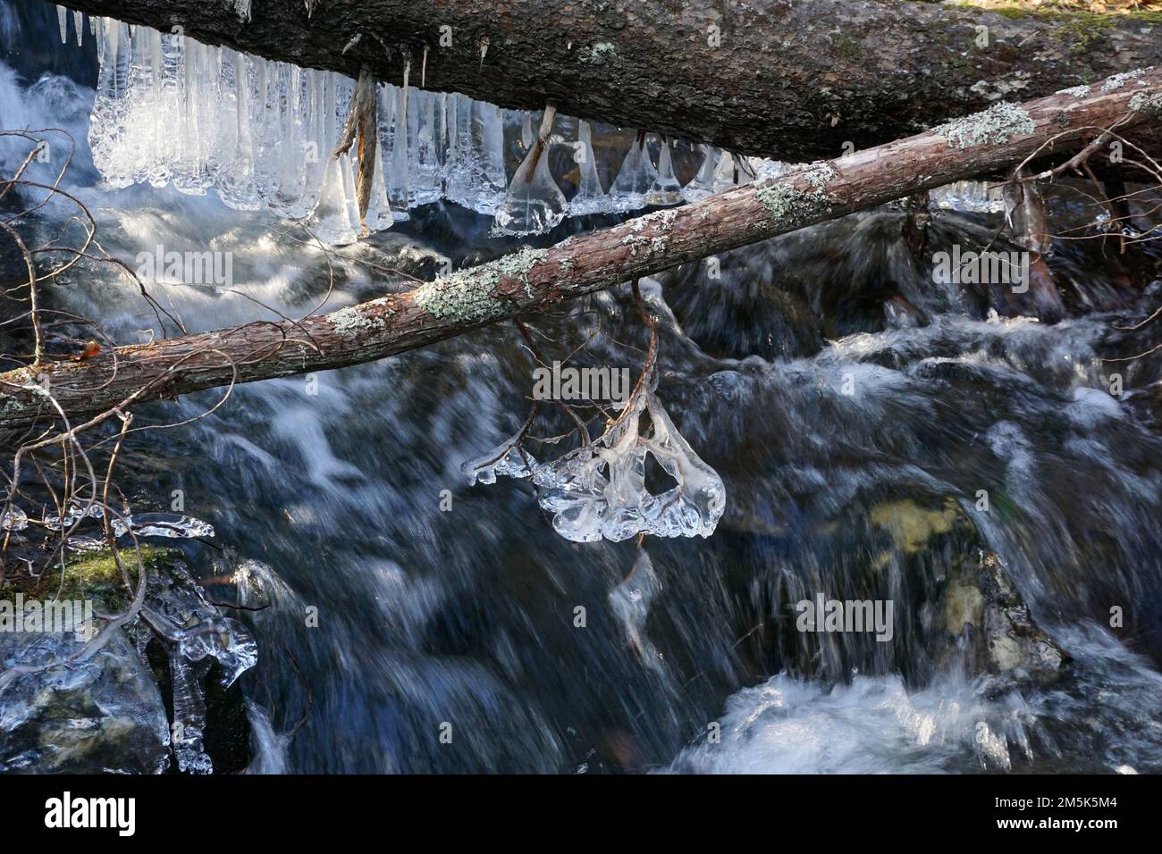 Stream in winter with ice, Canada Stock Photo