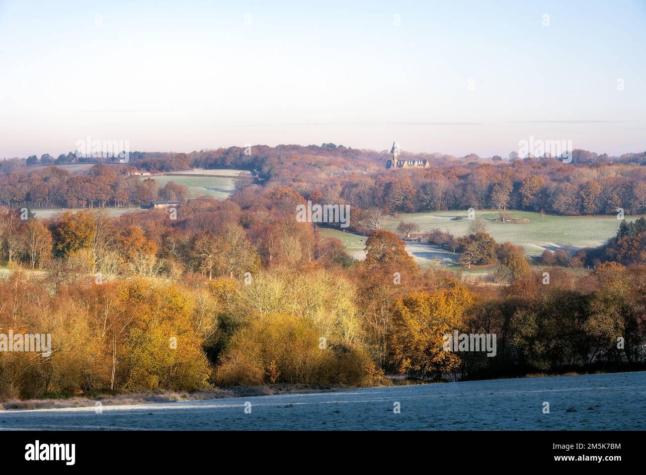 View of Wealden, Area of Outstanding Natural Beauty, on a frosty autumn morning, East Sussex, England Stock Photo