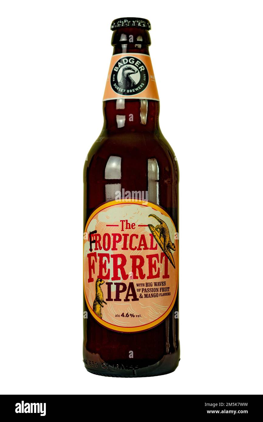 Hall & Woodhouse (Badger) Brewery Tropical / Fropical Ferret IPA - bottled beer. ABV4.6%. Stock Photo