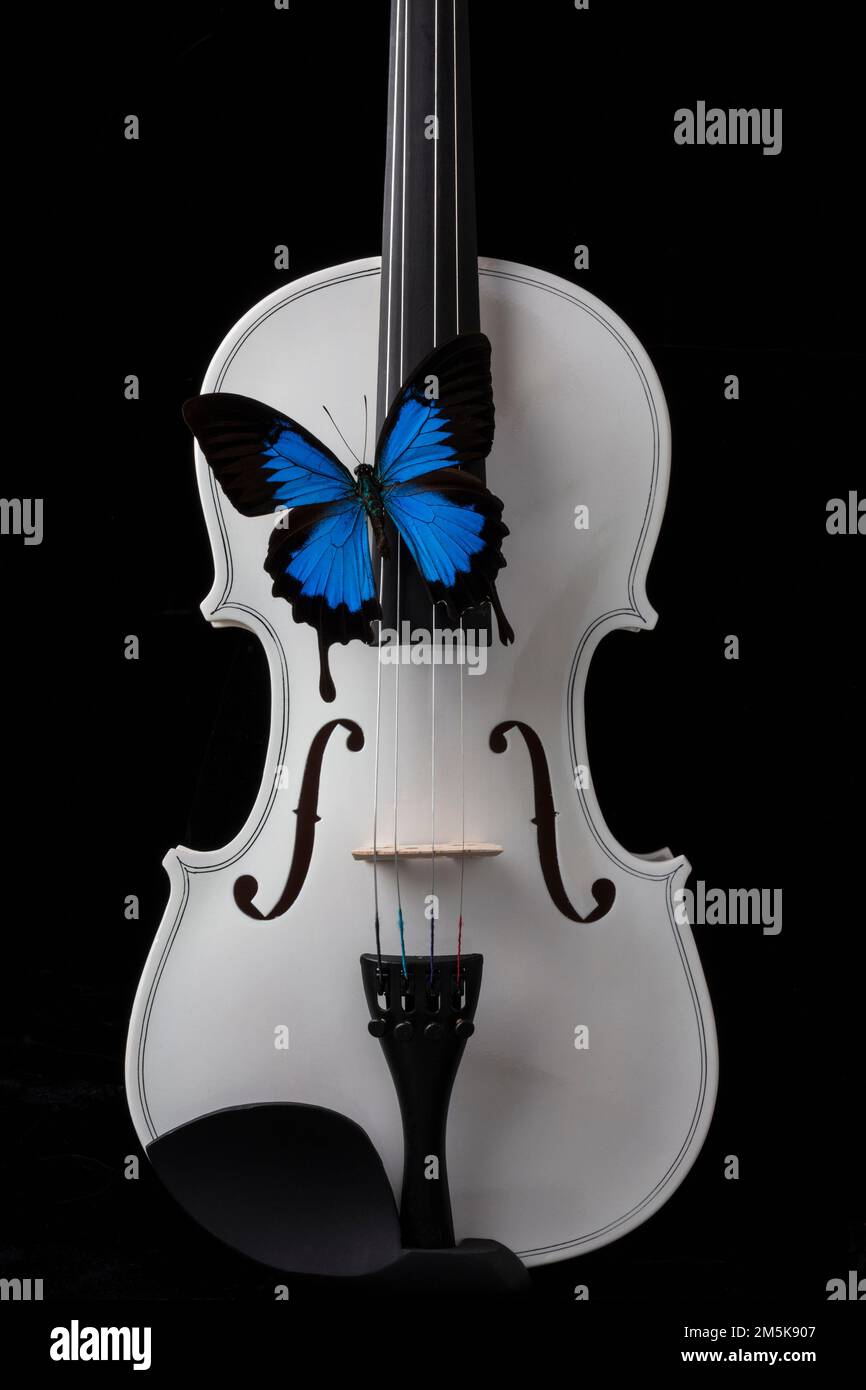 Still life blue white hi-res stock photography and images - Alamy