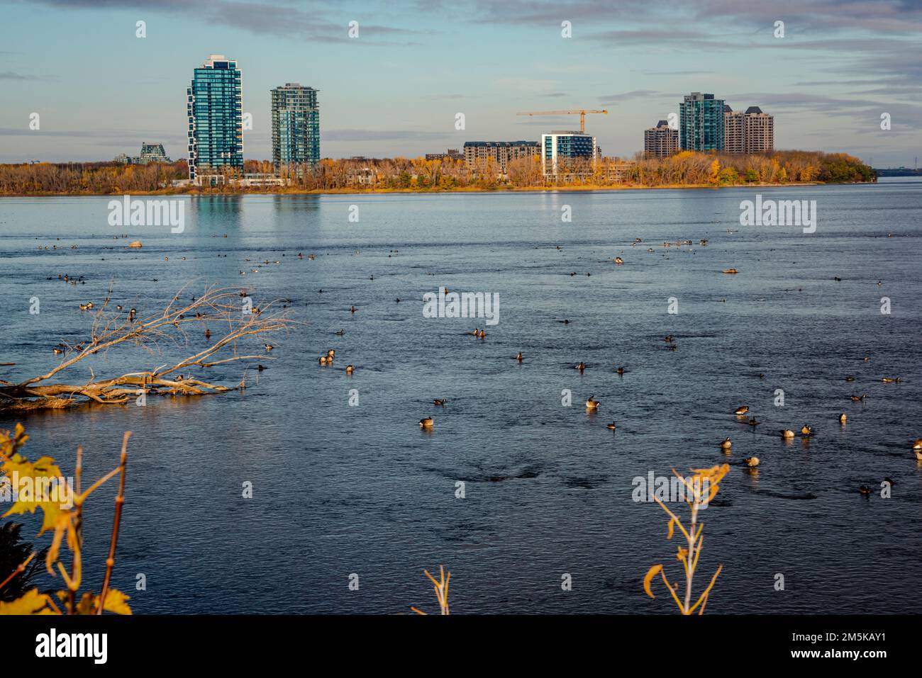 Saint-Lawrence river, Lachine Rapids in LaSalle, Montreal Quebec ...