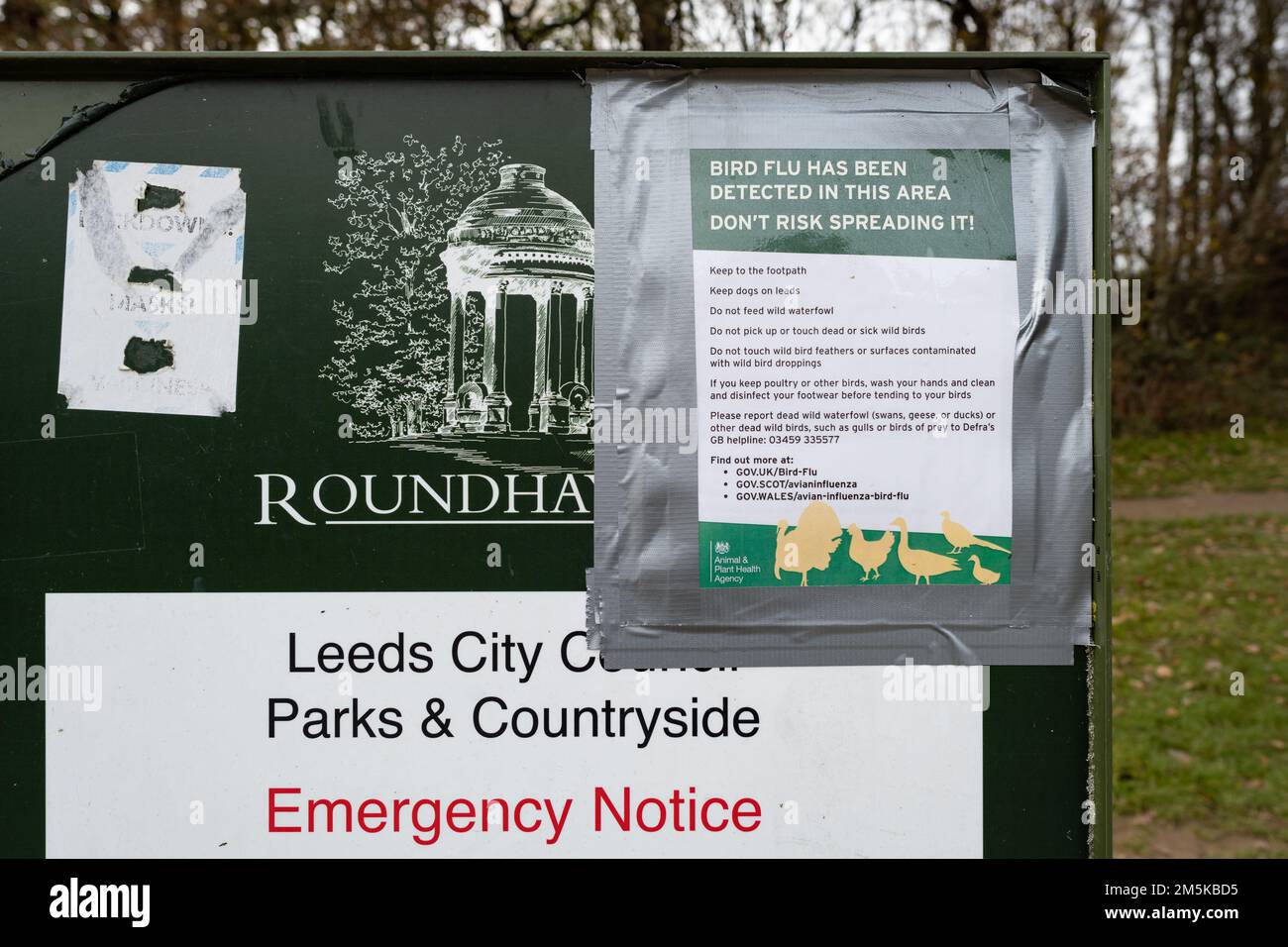 Bird Flu has been detected in this area notice 2022 in Roundhay Park, Leeds, West Yorkshire, England, UK Stock Photo