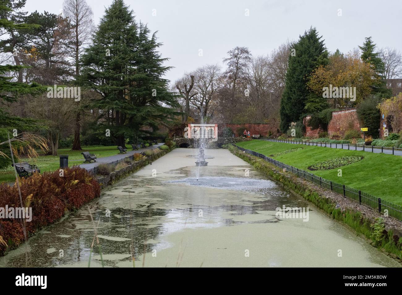 Canal Gardens covered in duckweed in winter, Roundhay Park, Leeds, West Yorkshire, England, UK Stock Photo