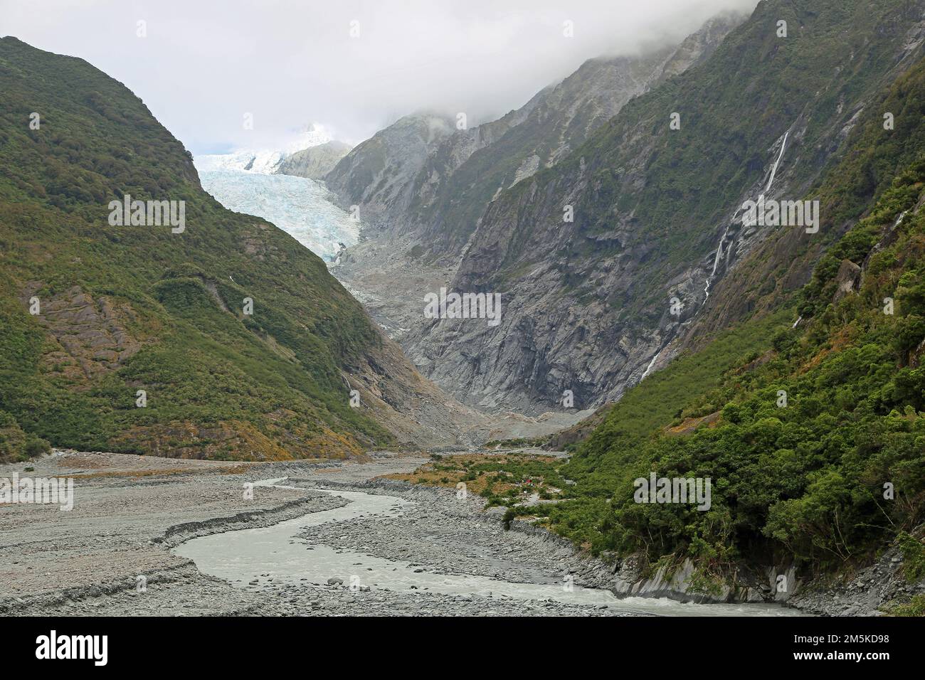 Franz Josef Glacier valley - New Zealand Stock Photo