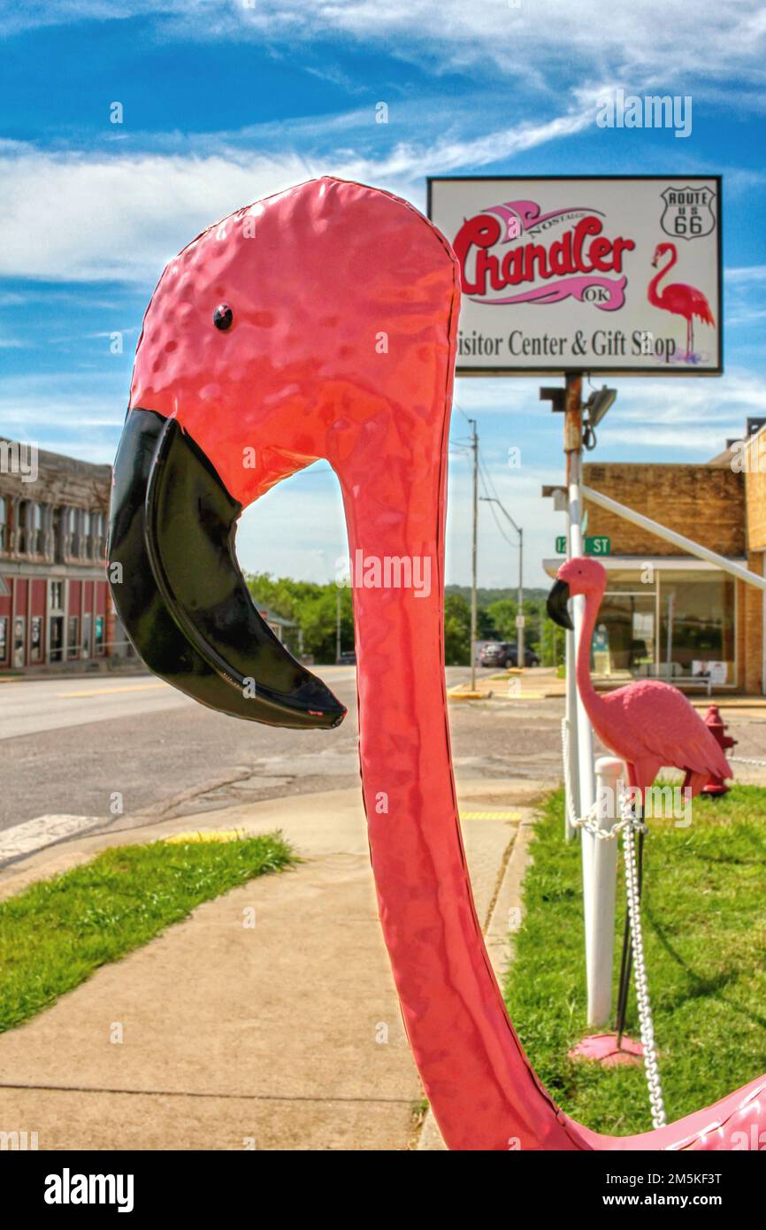 A close up view of a pink flamingo statue on Manvel Avenue in front of Chandler's Gift Shop in Chandler Oklahoma. Stock Photo