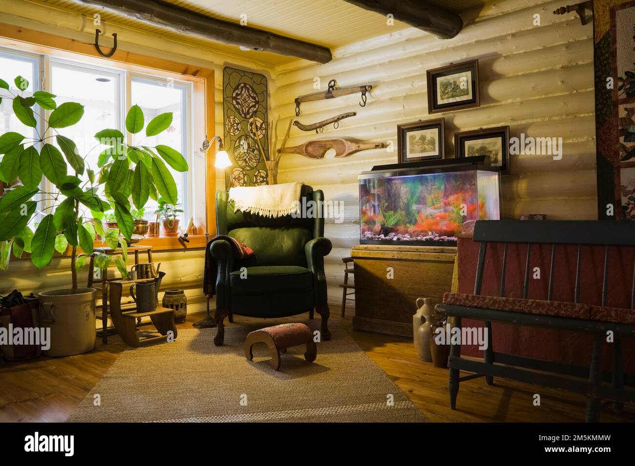 Green leather armchair with small ottoman, long bench and aquarium with goldfish in living room inside country cottage style log home. Stock Photo