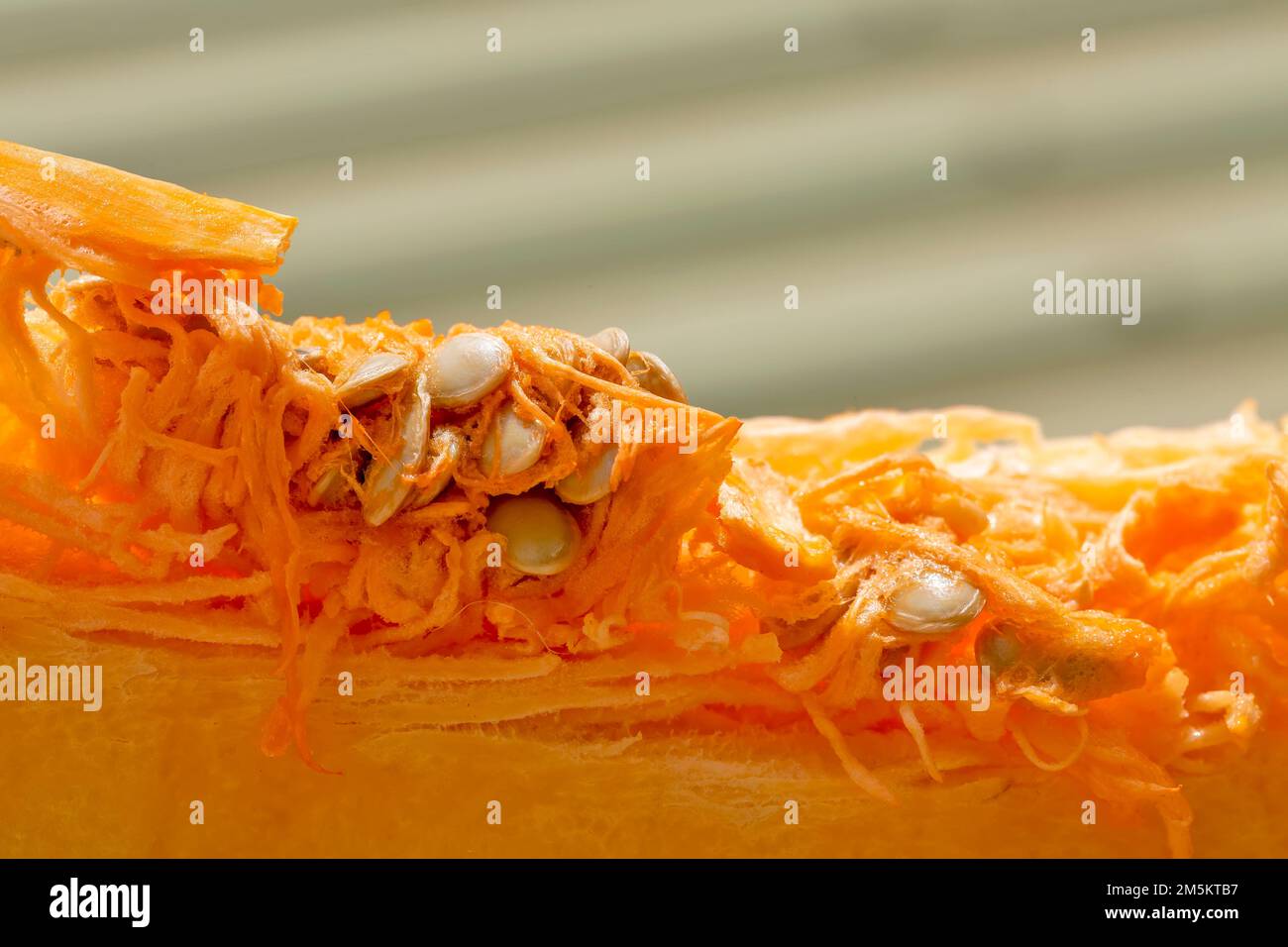 Squash or pumpkin, Muscade de Provence, Muscat de Provence pumpkin, cut