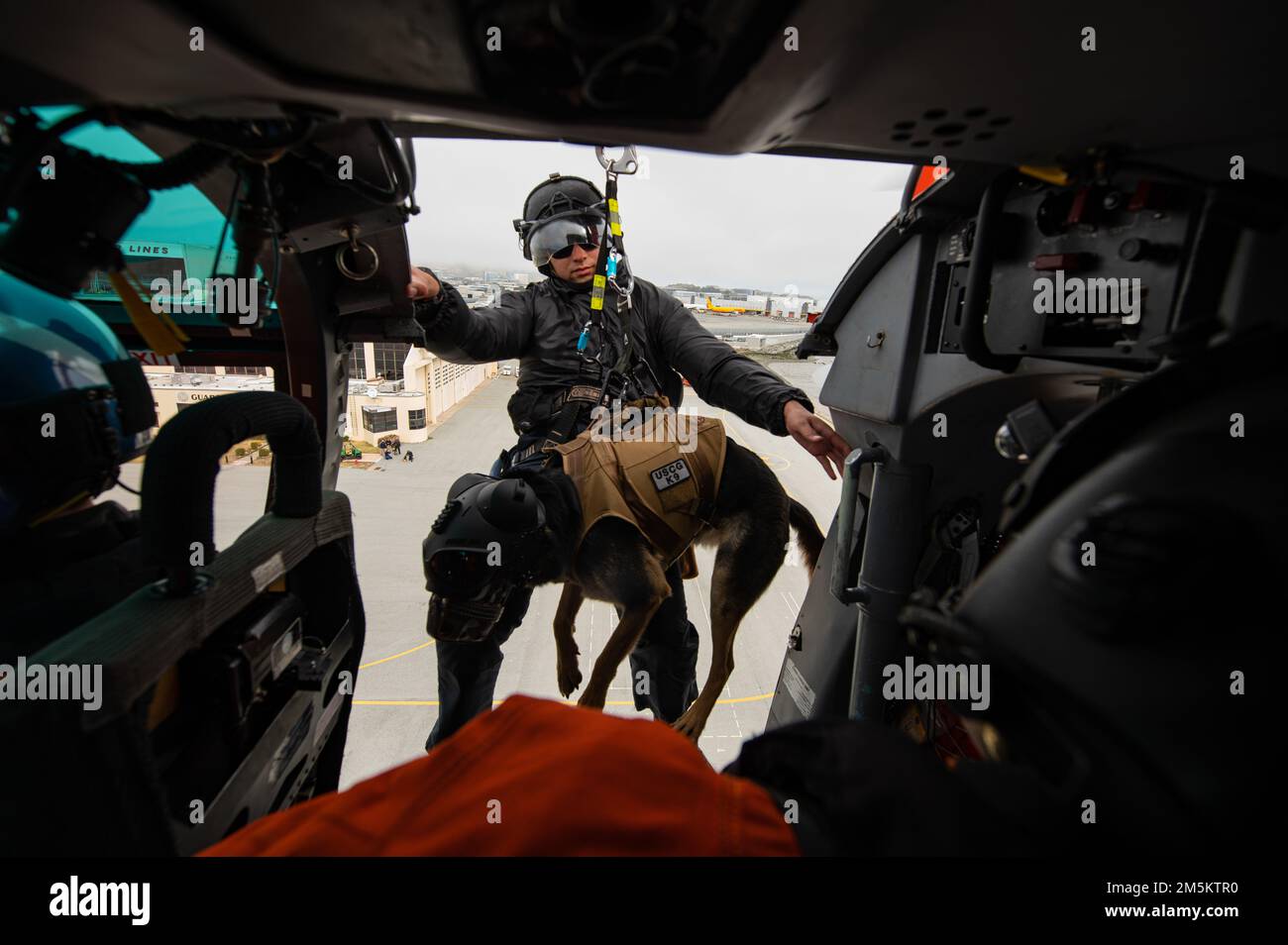 Coast Guard K-9 Petty Officer 1st Class Beny and his handler Maritime Enforcement Specialist 2nd Class Glen Klotz perform K-9 hoisting training in a MH-65D Dolphin helicopter at Coast Guard Air Station San Francsico, California on March 23, 2022. This is K-9 Beny’s initial qualification for K9 hoisting. (Coast Guard photo by Petty Officer 3rd Class Alex Gray) Stock Photo