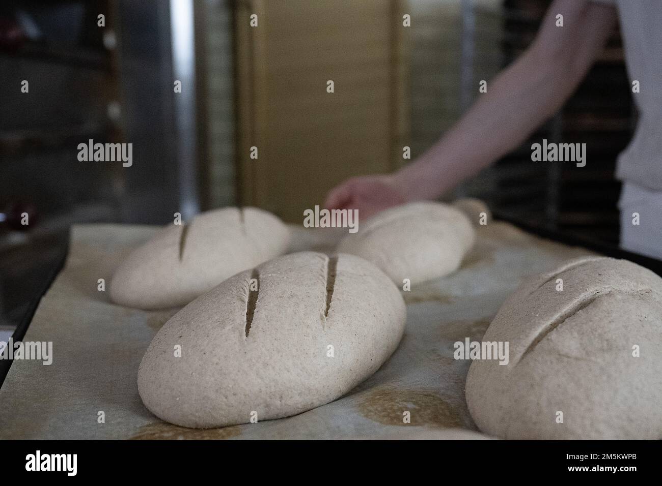 PRODUCTION - 01 December 2022, Hessen, Fürth: Baker and confectioner ...