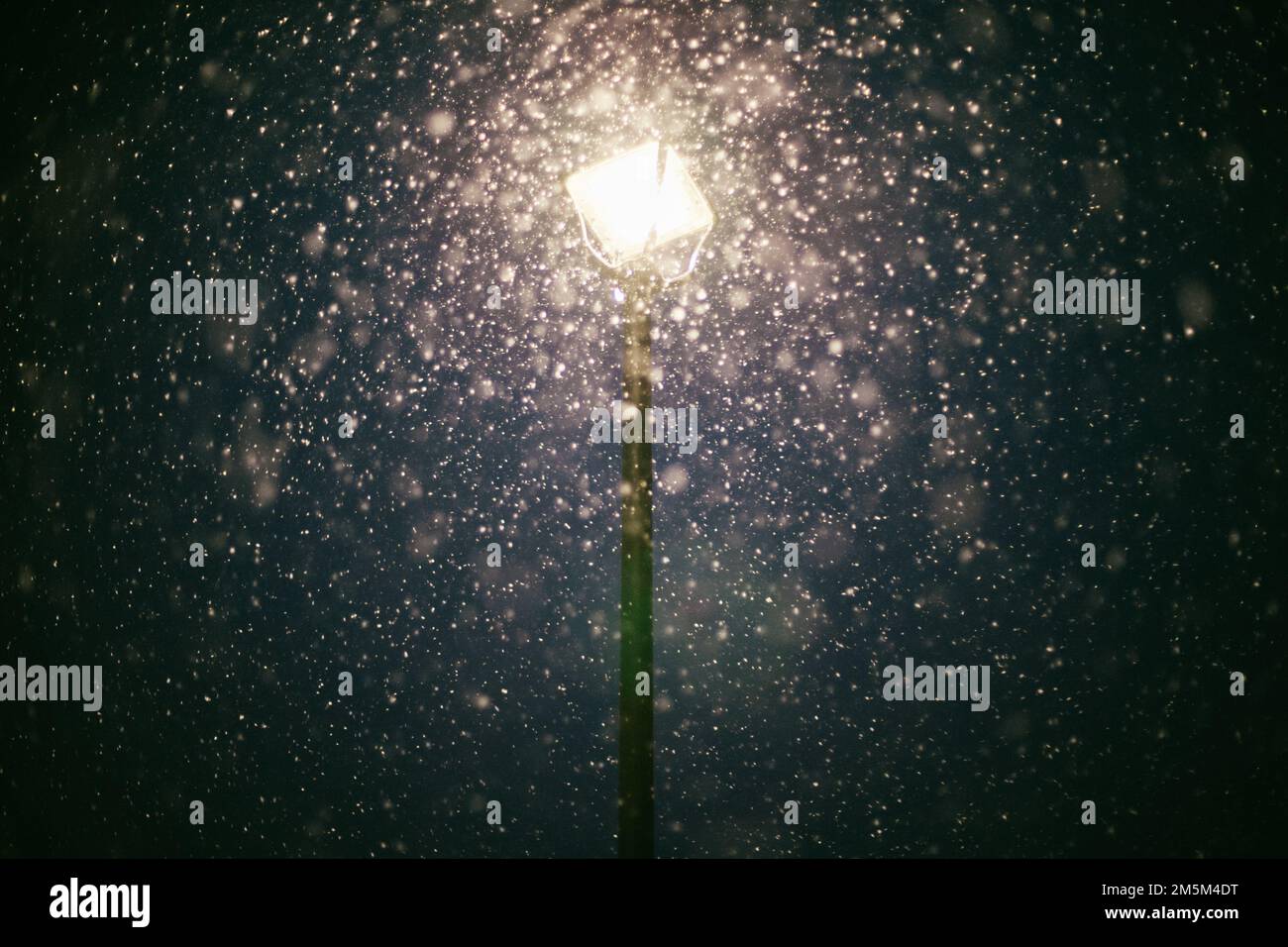 Glowing lantern during snowfall on winter city street at Christmas ...
