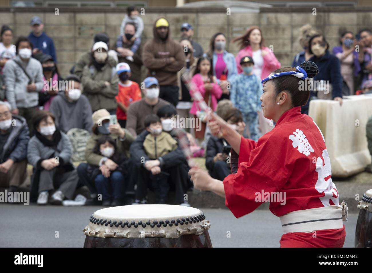 Sakina Saito, Hachioji Jinba Team Taiko drummer, performs for members of the Japanese community and Yokota Air Base during the Sakura Spring Festival March 26, 2022, at Yokota Air Base, Japan. The Hachioji Jinba Team performed alongside the Yokota Samurai Taiko Drum Team during the bilateral event as a way to celebrate the arrival of spring and bond. Approximately 6,000 off-base community members were able to view cherry blossoms, and enjoy street performances and live music alongside the base community, during the event. Stock Photo