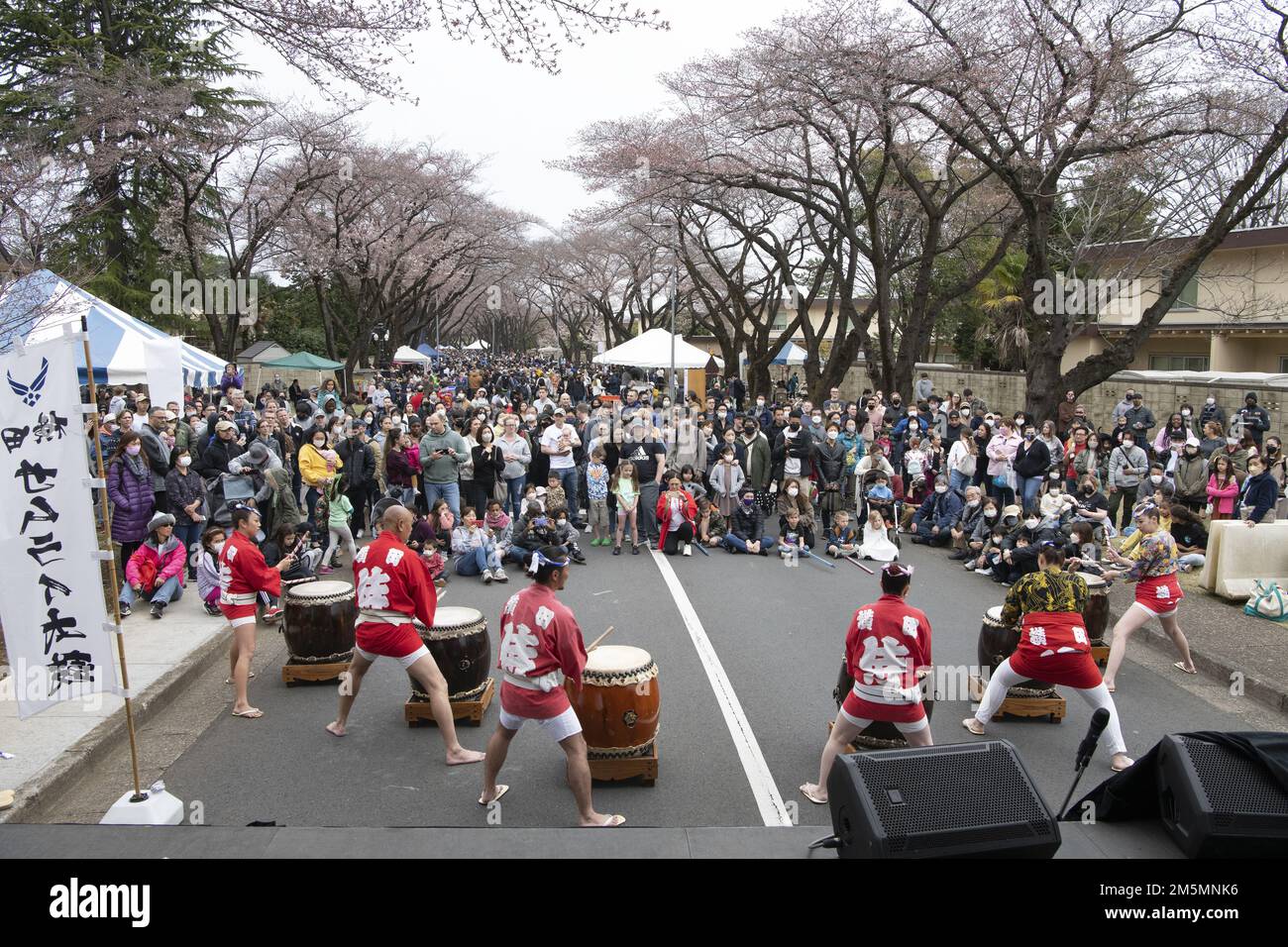 Yokota Air Base’s Samurai Taiko Drum Team and Hachioji Jinba Team perform for members of the Japanese community and Yokota Air Base during the Sakura Spring Festival March 26, 2022, at Yokota Air Base, Japan. The Hachioji Jinba Team performed alongside the Yokota Air Base’s Samurai Taiko Drum Team during the bilateral event as a way to celebrate the arrival of spring and bond. Approximately 6,000 off-base community members were able to view cherry blossoms, and enjoy street performances and live music alongside the base community, during the event. Stock Photo