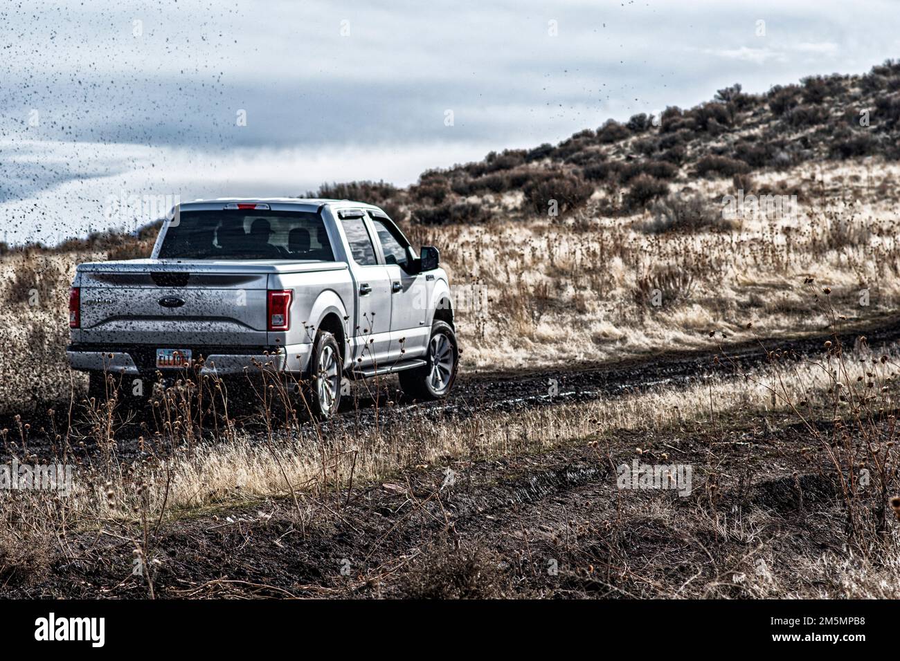 The Ford F150 Silver Truck Car 4x4 SUV driving in the mud Stock Photo