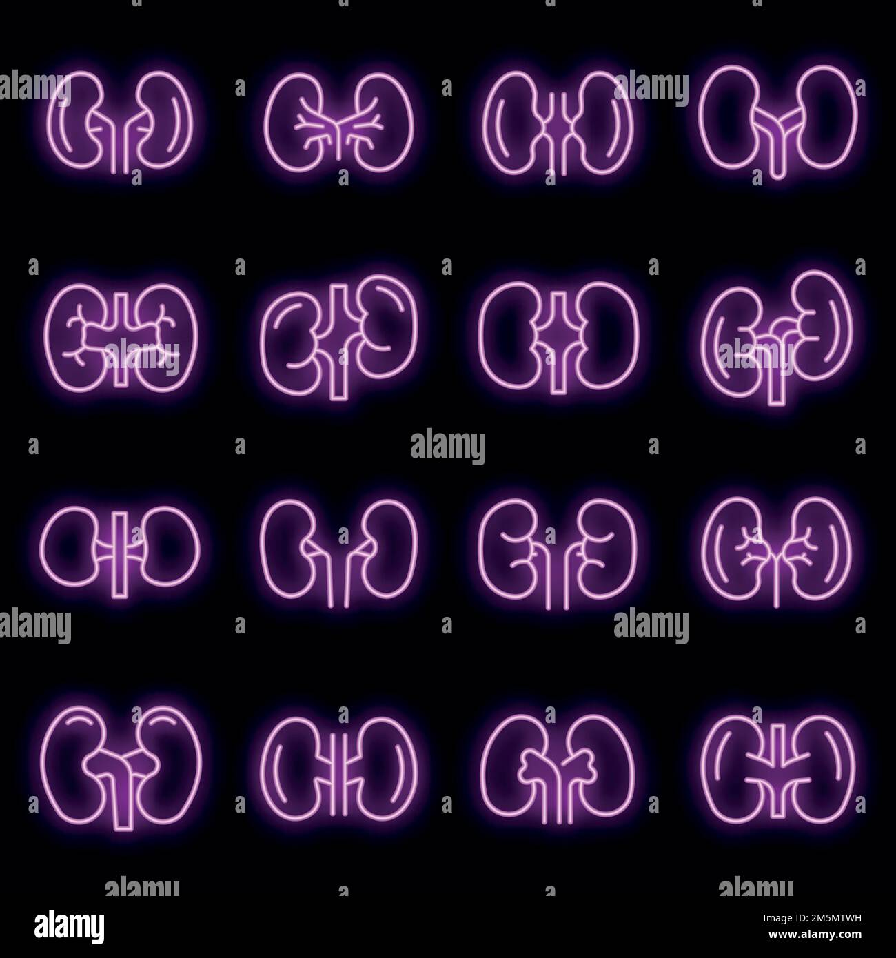 Kidney icons set. Outline set of kidney vector icons neon color on