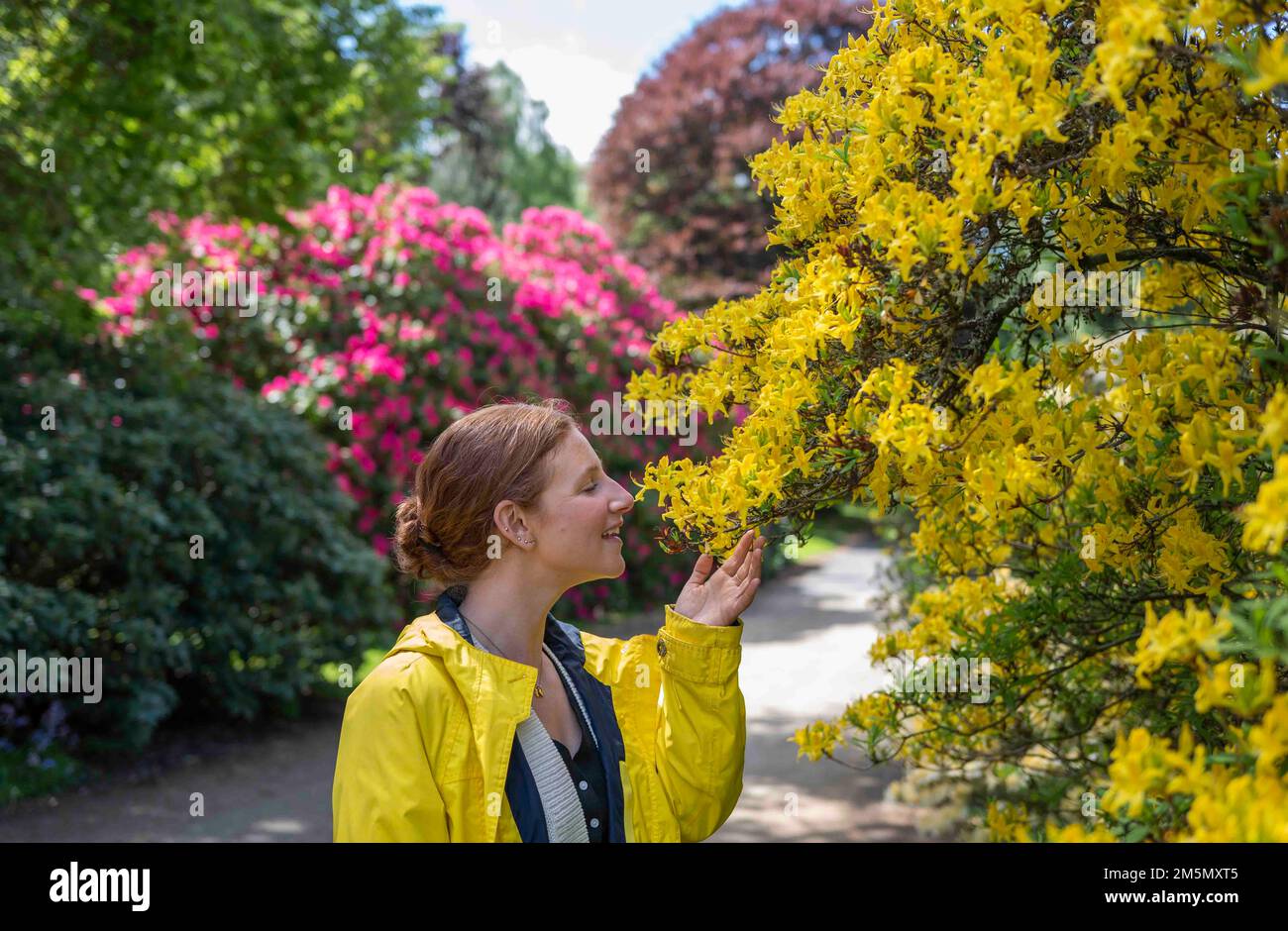 19th May 2022. Abbotsford, the Home of Sir Walter Scott, near Melrose in the Scottish Borders.  UK Scotland weather.  The gardens at Abbotsford in the Stock Photo
