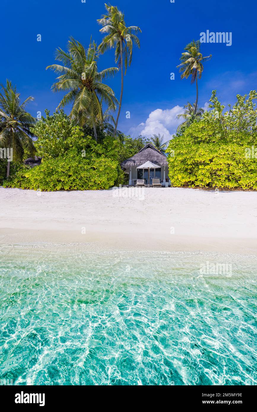 Tropical beach background as summer landscape with white sand and coco palm trees close to calm sea for beach banner. Perfect beach scene vacation Stock Photo