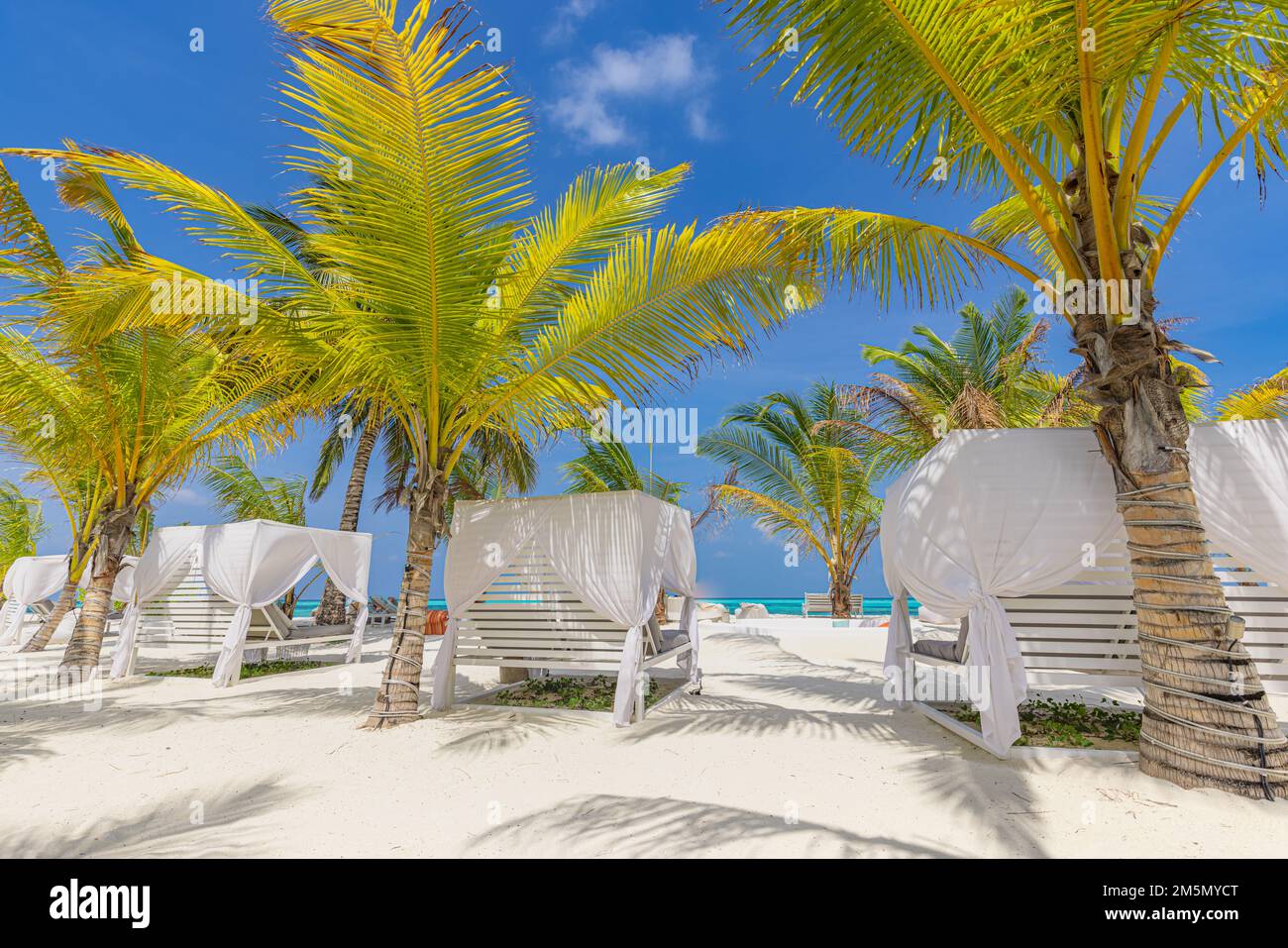 Outside lounging scenic, canopy and chairs relax vacation beach bar blue paradise sky sea and coconut tree in travel easy slow chill refreshment Stock Photo