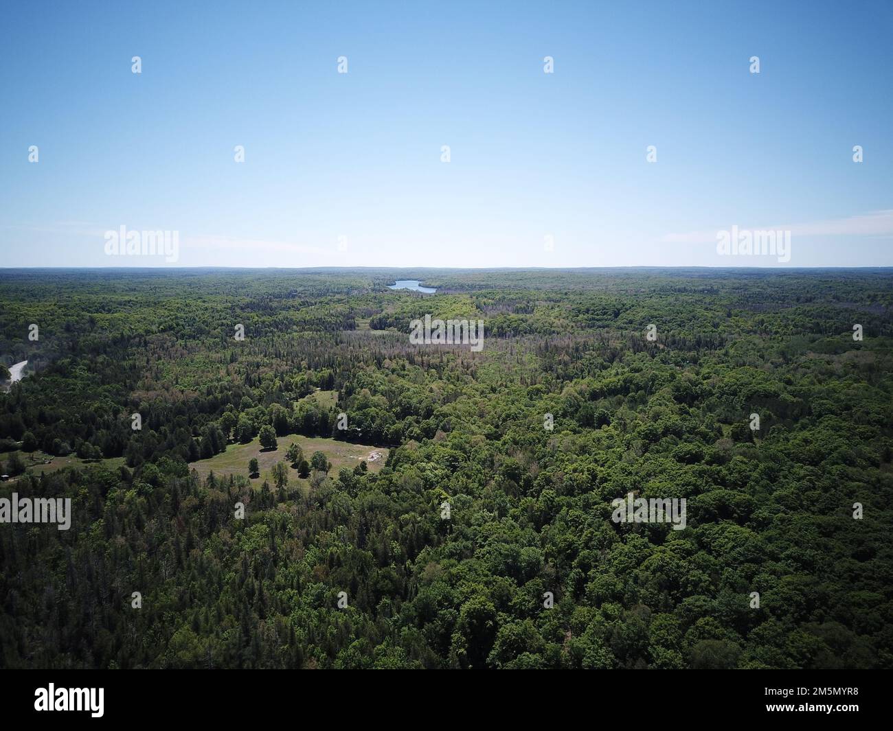 An aerial view of forest surrounded by dense trees Stock Photo - Alamy