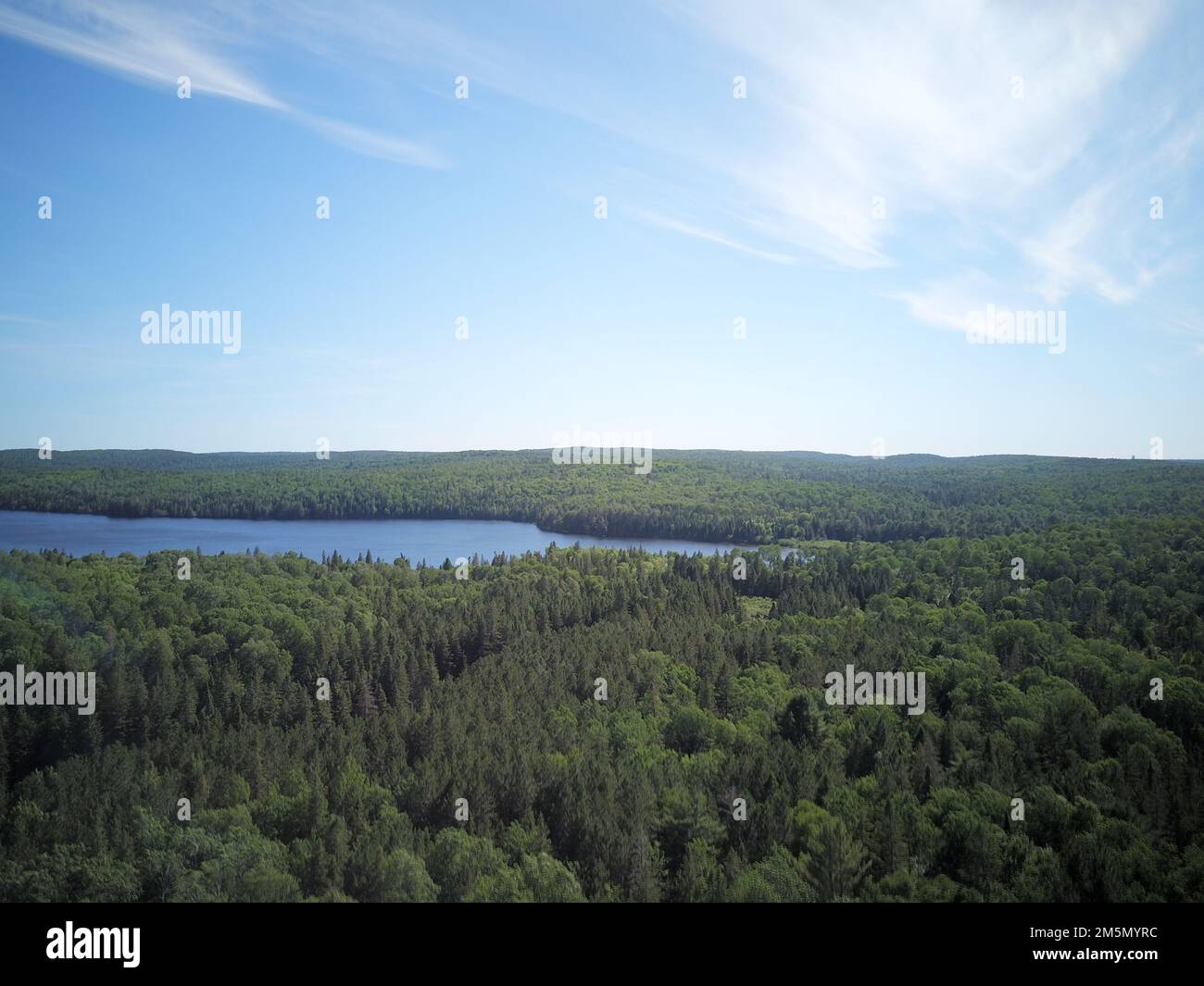 An aerial view of forest surrounded by dense trees Stock Photo - Alamy