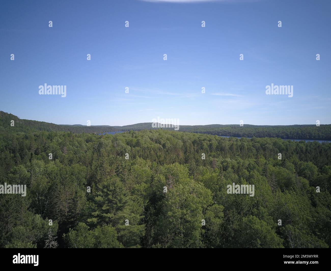 An aerial view of forest surrounded by dense trees Stock Photo - Alamy