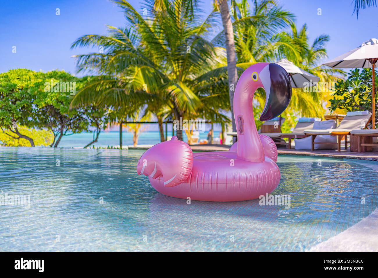 Luxury resort swimming pool with floating swan with blue sky and palm trees. Chairs, beds under umbrella, summer fun happy mood. Hotel pool, relax Stock Photo