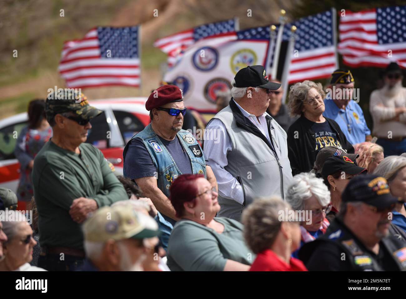 American flags wave waive in a North Texas breeze as Vietnam veterans