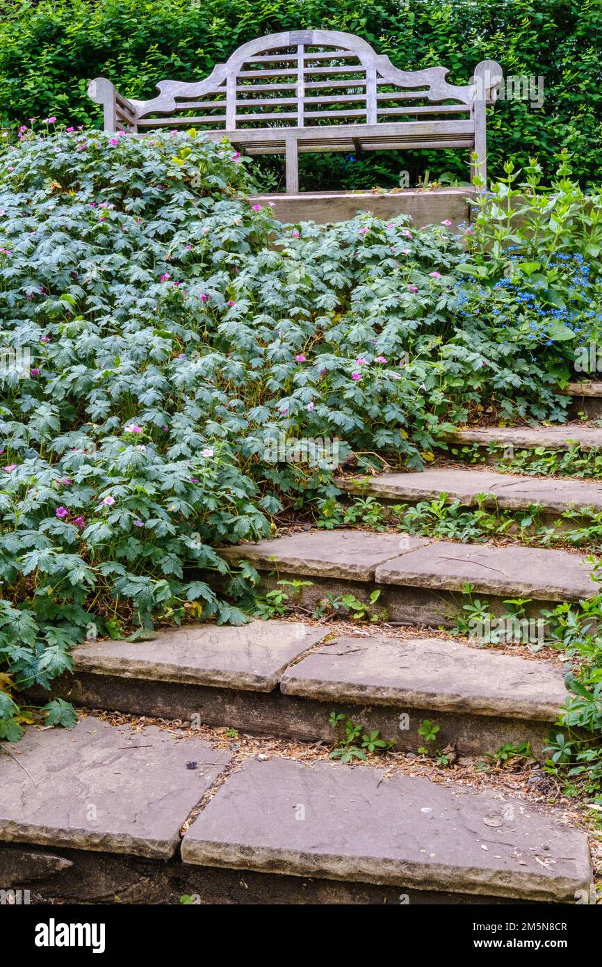 Curved concrete steps surrounded by green foliage lead up to an empty bench at Regents Canal, near Regents Park Road. Stock Photo