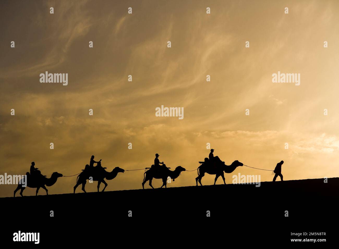 A Group of People Riding Camels in the Desert Stock Photo - Alamy
