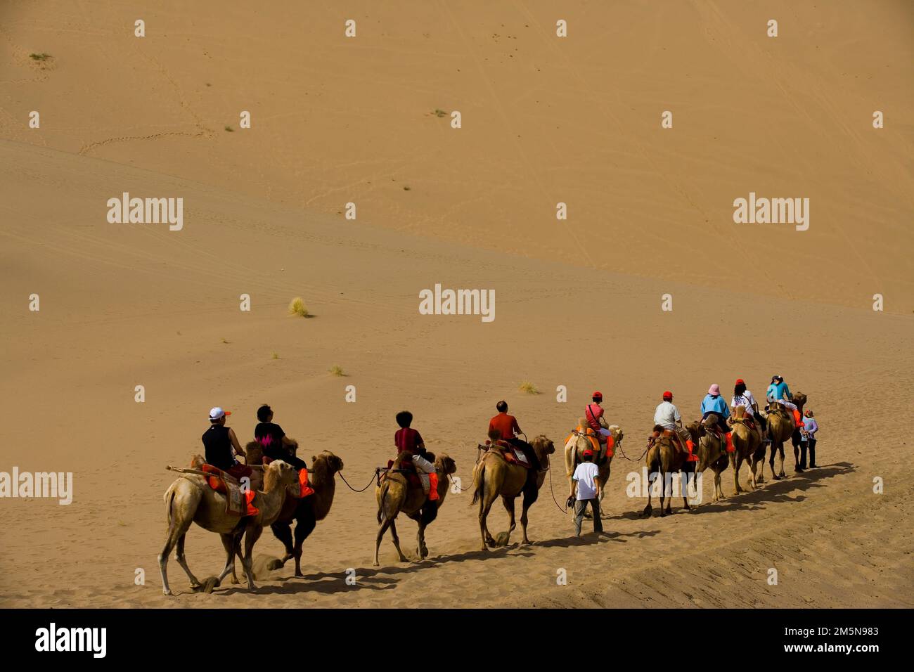 A Group of People Riding Camels in the Desert Stock Photo - Alamy