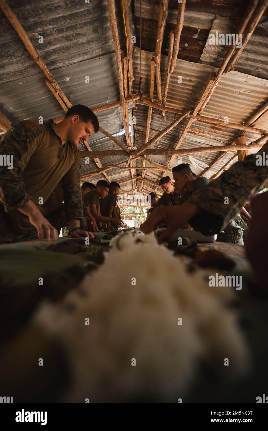 U.S. Marines with 3d Reconnaissance Battalion, 3d Marine Division, and Philippine Marines with Force Reconnaissance Group, share a foraged meal during Balikatan 22 at Marine Barracks Gregorio Lim, Cavite, Philippines, March 29, 2022. Balikatan is an annual exercise between the Armed Forces of the Philippines and U.S. military designed to strengthen bilateral interoperability, capabilities, trust, and cooperation built over decades of shared experiences. Balikatan, Tagalog for ‘shoulder-to-shoulder,’ is a long-standing bilateral exercise between the Philippines and the United States highlightin Stock Photo