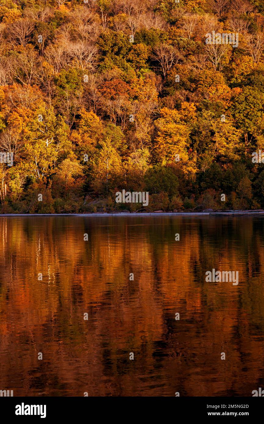 Autumn Trees Reflected in The Delaware River Stock Photo