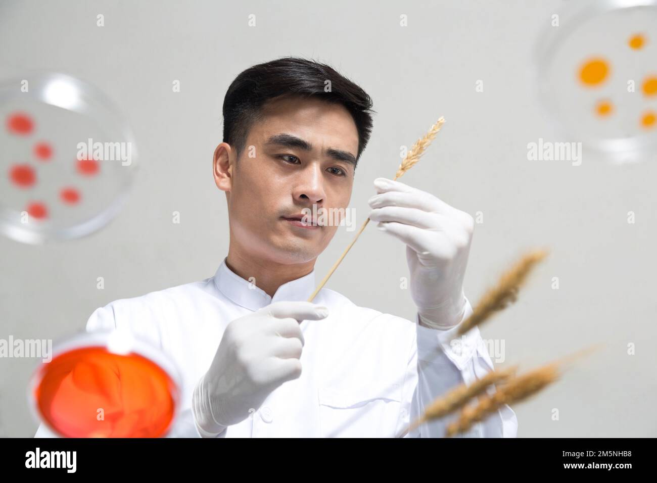 Scientists do science experiments in the laboratory Stock Photo Alamy