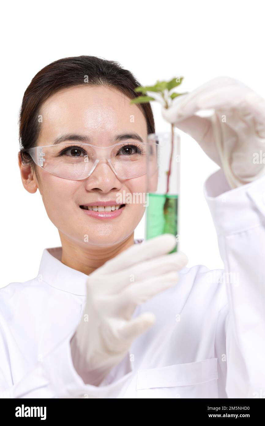 Women scientists study looked at in a test tube plant Stock Photo